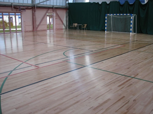Action Flooring ProAction Thrust Фитнесс-клуб 5-й Элемент Киев 2011