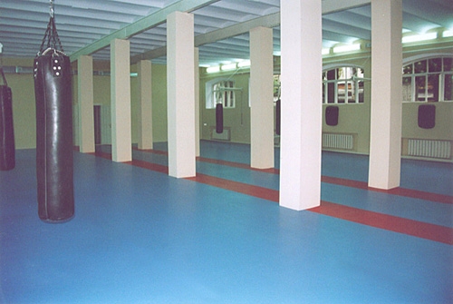 Taraflex&reg; Sport M Plus СК Локомотив, г.Днепропетровск